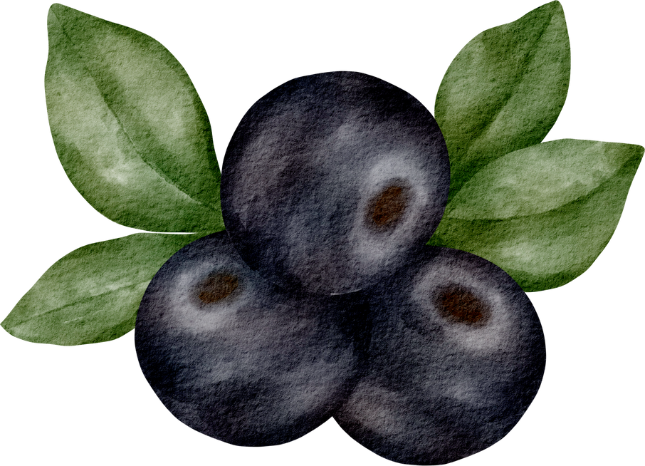 watercolor berry